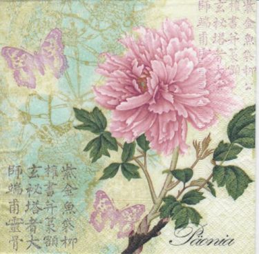 Dekorszalvéta - Paeonia