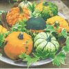 Dekorszalvéta - Pumpkins in a Bowl