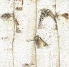 Dekorszalvéta - Birch