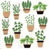 Dekorszalvéta - Herbs in Pot