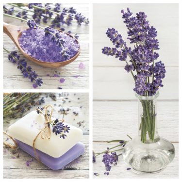 Dekorszalvéta - Lavender Spa Squares