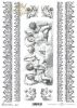 Rizspapír - ITD R612