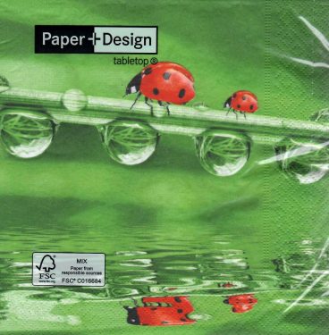 Dekorszalvéta - Ladybugs on tour