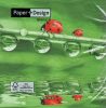 Dekorszalvéta - Ladybugs on tour
