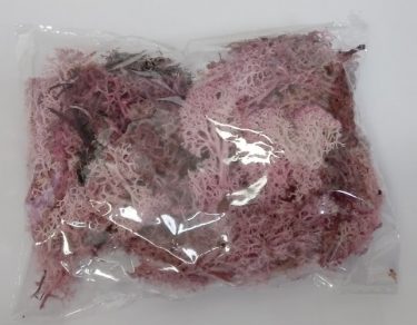 Moha (pink-lila)